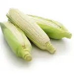 White Corn